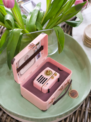 Muzen in pink case
