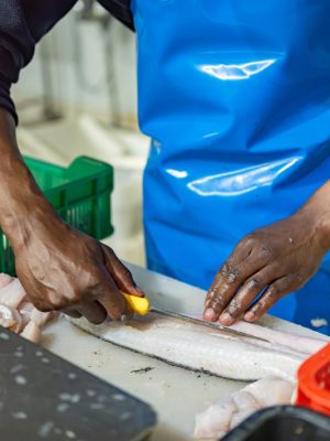 fishalicious fish prep